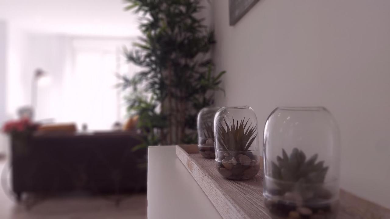 Del Parque Flats Puerto Apartment Malaga Ngoại thất bức ảnh